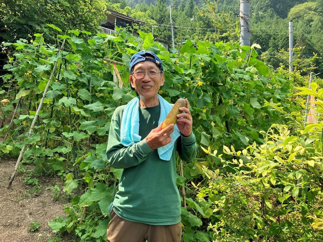 【うり(茂倉うり)】標高800mの地域で長年紡がれてきた伝統野菜